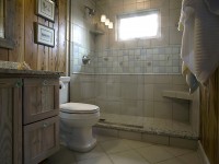 What Not to Flush Down Your Toilet