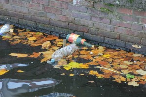 trash and leaves in standing water